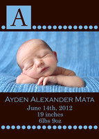 Ayden Newborn